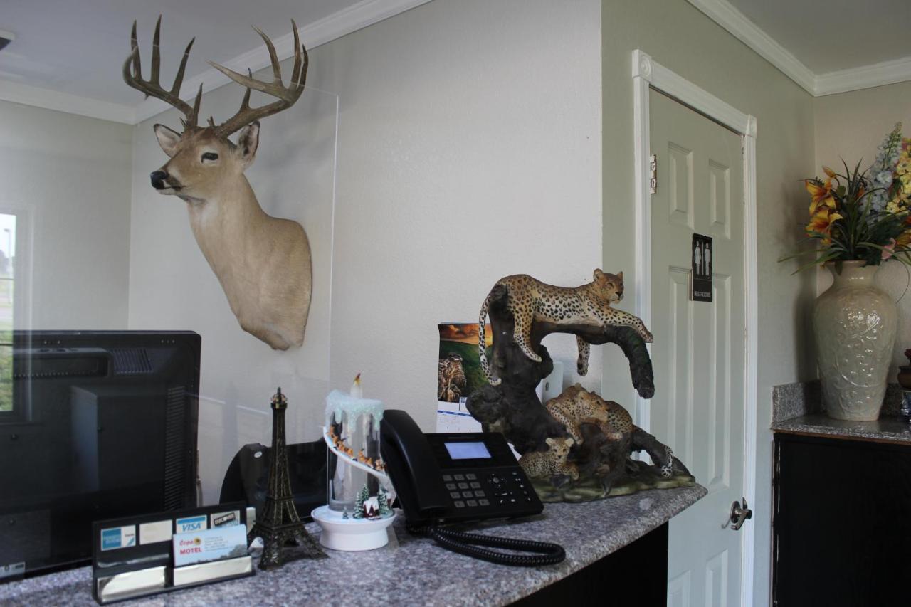Copa Motel Kingman エクステリア 写真